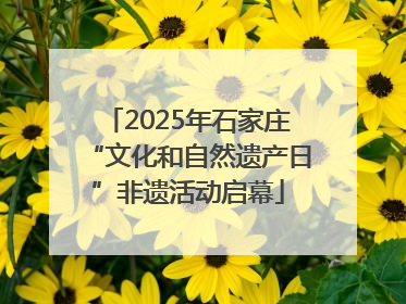 2025年石家庄“文化和自然遗产日”非遗活动启幕